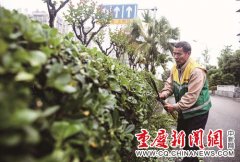 聚焦“五一”国际劳动节 “重庆工匠”诠释匠心 聚焦“五一”国际劳动节 “重庆工匠”诠释匠心